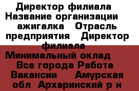 Директор филиала › Название организации ­ Zажигалка › Отрасль предприятия ­ Директор филиала › Минимальный оклад ­ 1 - Все города Работа » Вакансии   . Амурская обл.,Архаринский р-н